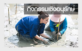 บ้านไม้ชายเลน รีสอร์ท บ้านพักท่ามกลางธรรมชาติ การปลูกป่าชายเลน ล่องเรือ กิจกรรมแอดเวนเจอร์ อาหารและที่พัก ตลาดทางรถไฟหรือตลาดร่มหุบ ใกล้สถานที่ท่องเที่ยว ตลาดน้ำอัมพวา สมุทรสงคราม