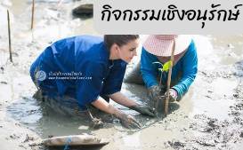 บ้านไม้ชายเลน รีสอร์ท บ้านพักท่ามกลางธรรมชาติ การปลูกป่าชายเลน ล่องเรือ กิจกรรมแอดเวนเจอร์ อาหารและที่พัก ตลาดทางรถไฟหรือตลาดร่มหุบ ใกล้สถานที่ท่องเที่ยว ตลาดน้ำอัมพวา สมุทรสงคราม